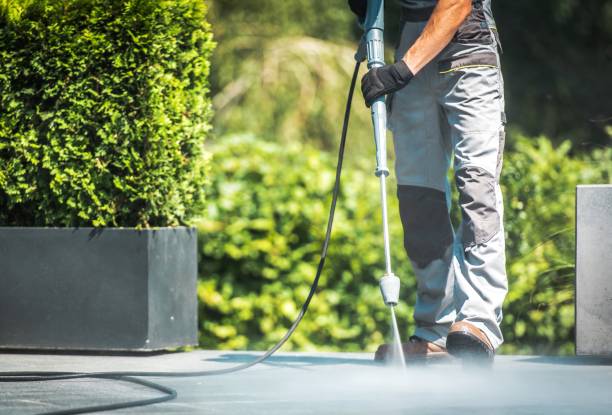 Best Graffiti Removal  in Weedsport, NY